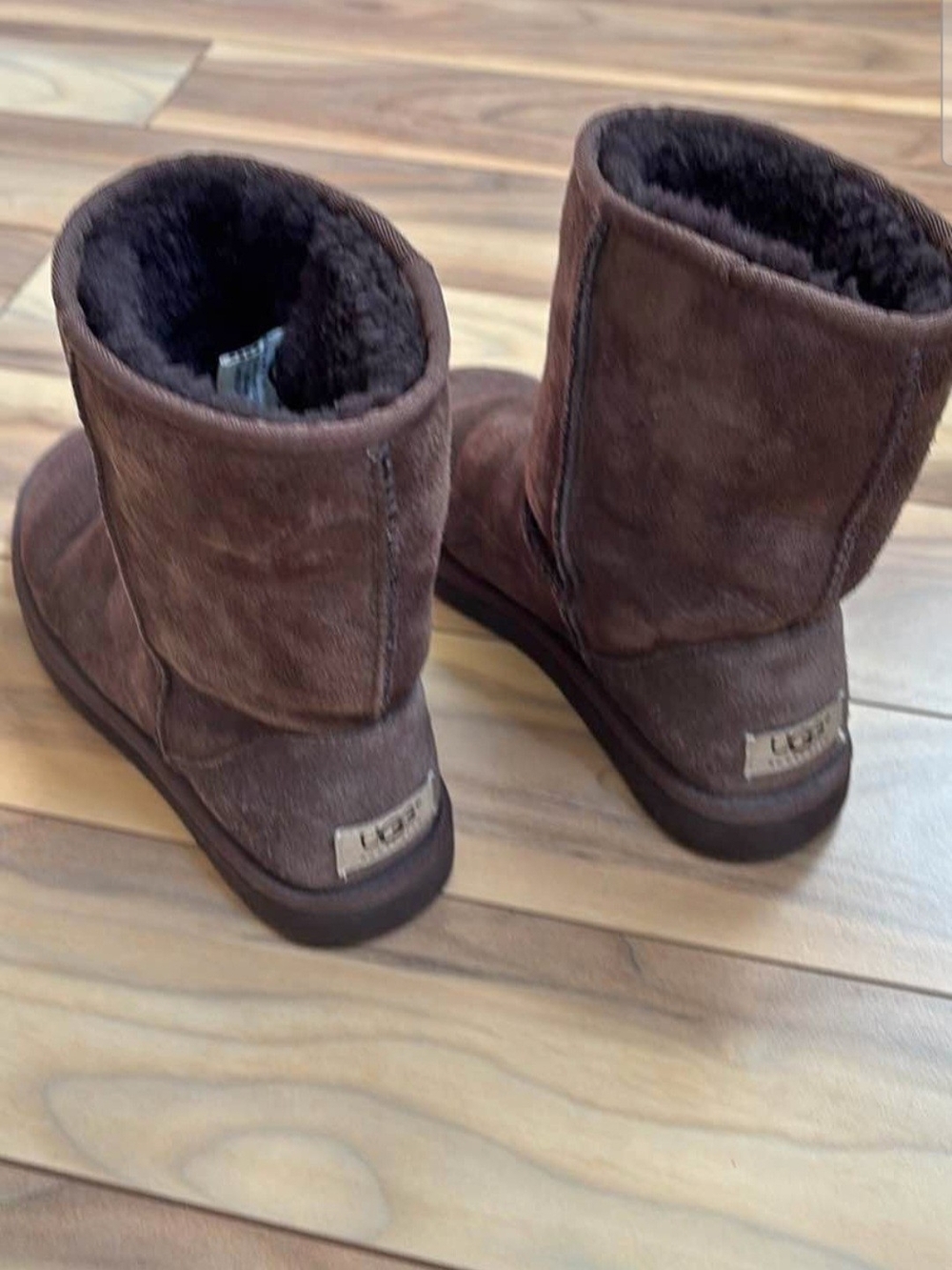UGG Kids Classic Short Boot in Chestnut